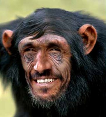 ahmadinejad-chimp13.jpg