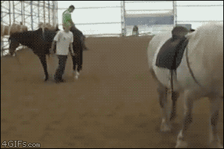 jumping-mount-onto-horse1.gif