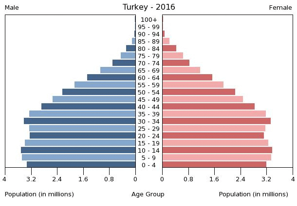 turkey-population-pyramid-2016.gif