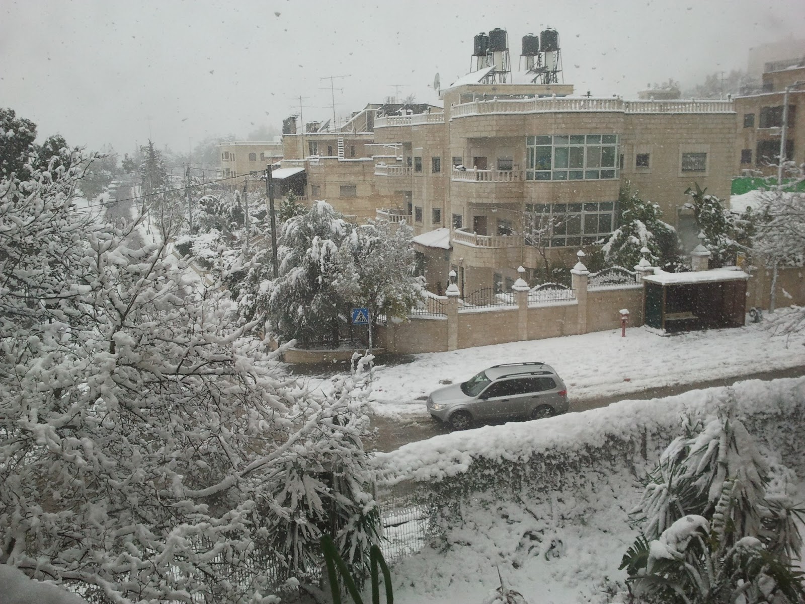 snow+in+israel+2013+henya+mania+jerusalem.jpg