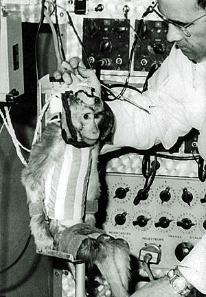 albert-ii-space-monkey.jpg