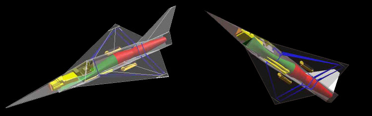 lampyridae_inside.jpg