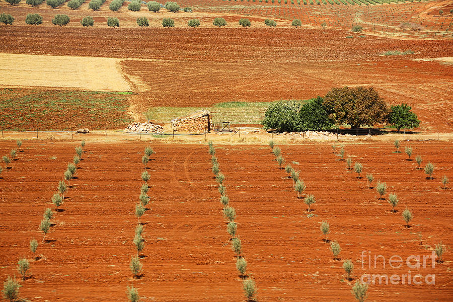 1-morocco-landscape-i-chuck-kuhn.jpg