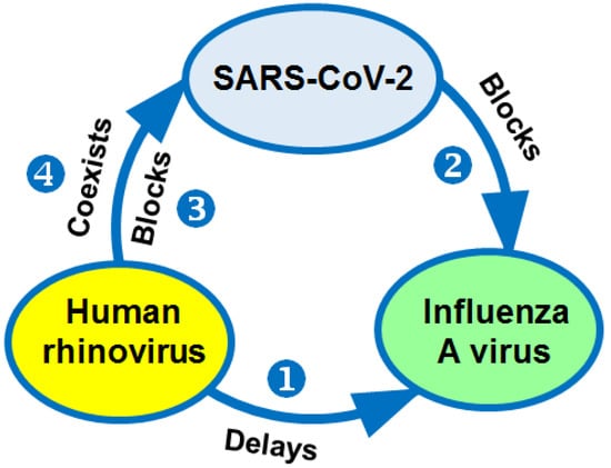 biology-10-00733-g002-550.jpg