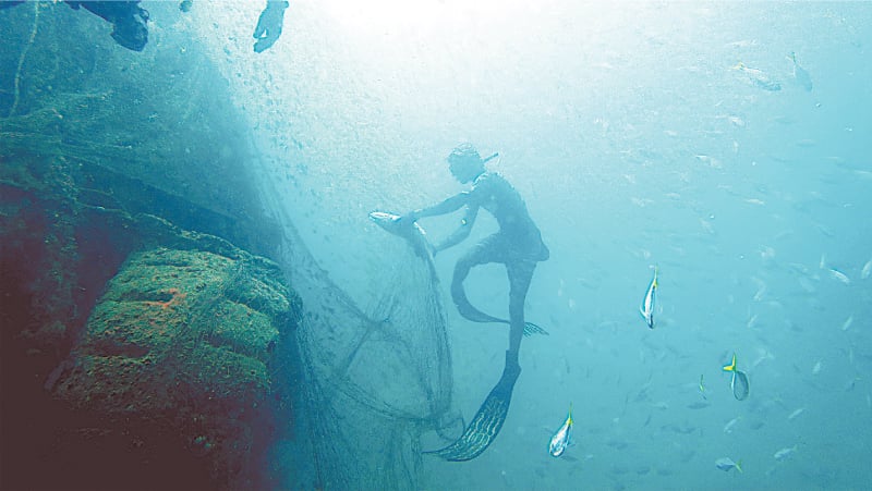 Freeing a trapped fish from the net