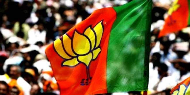 BJP-FLAG-610.jpg