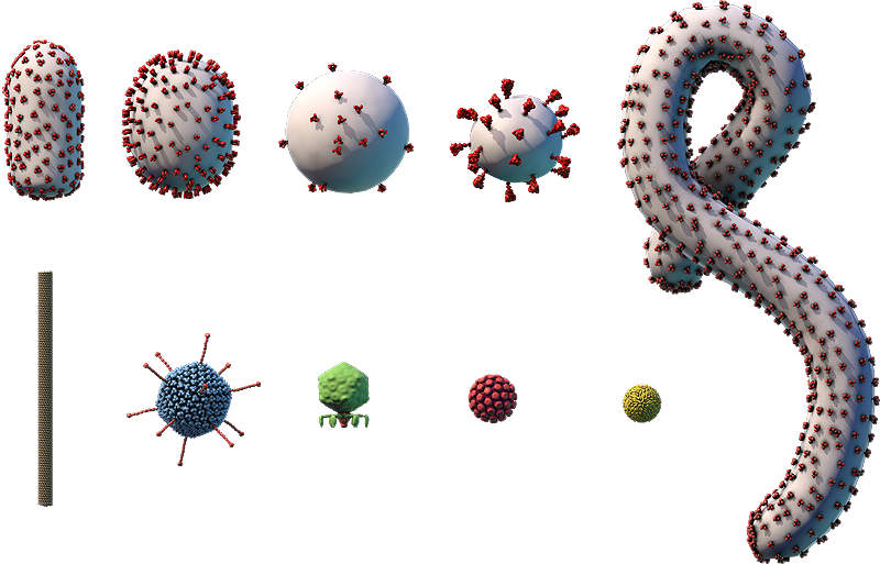 virus-size-comparison.png