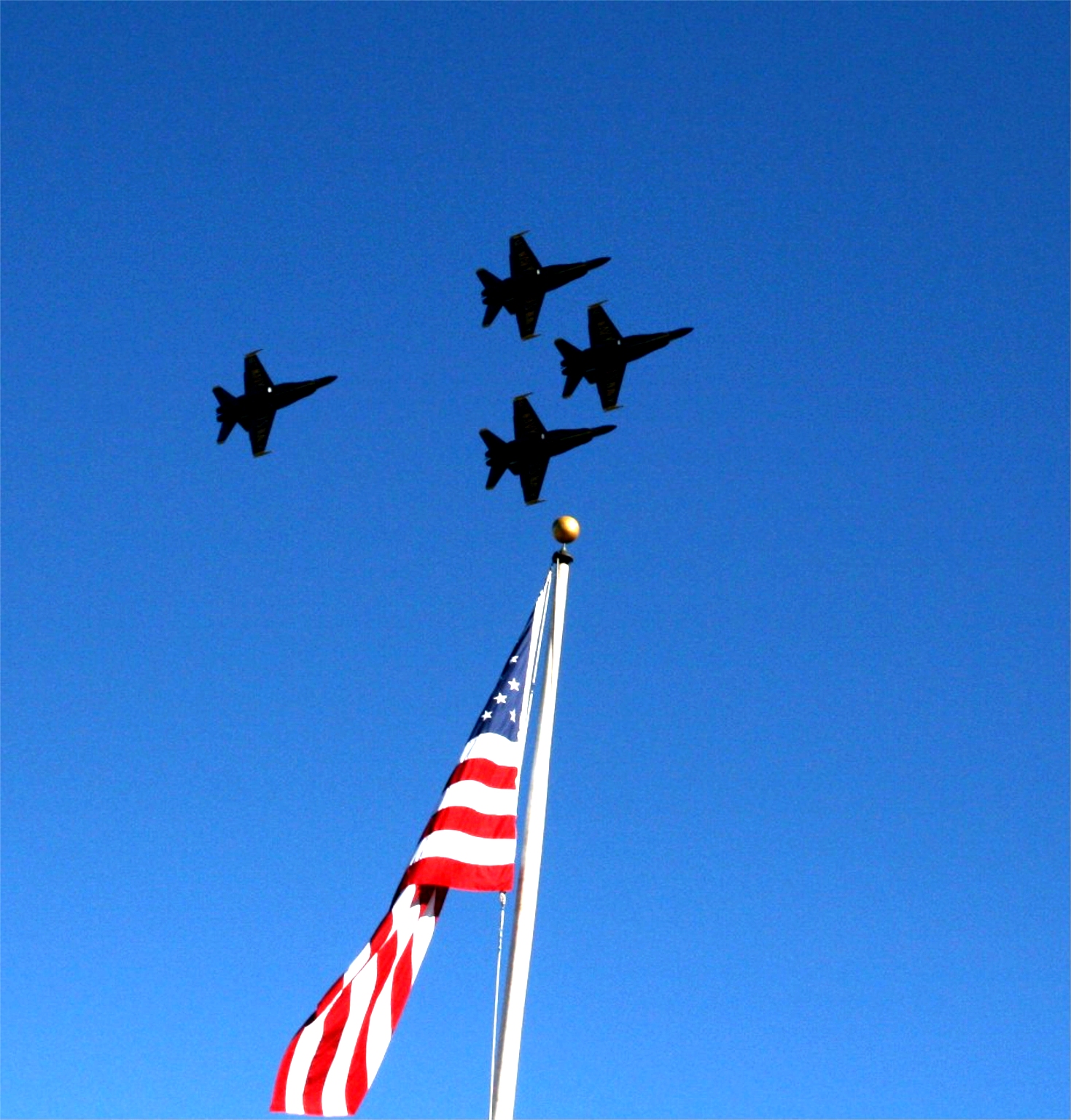 Blue_Angels_and_the_Flag.jpg