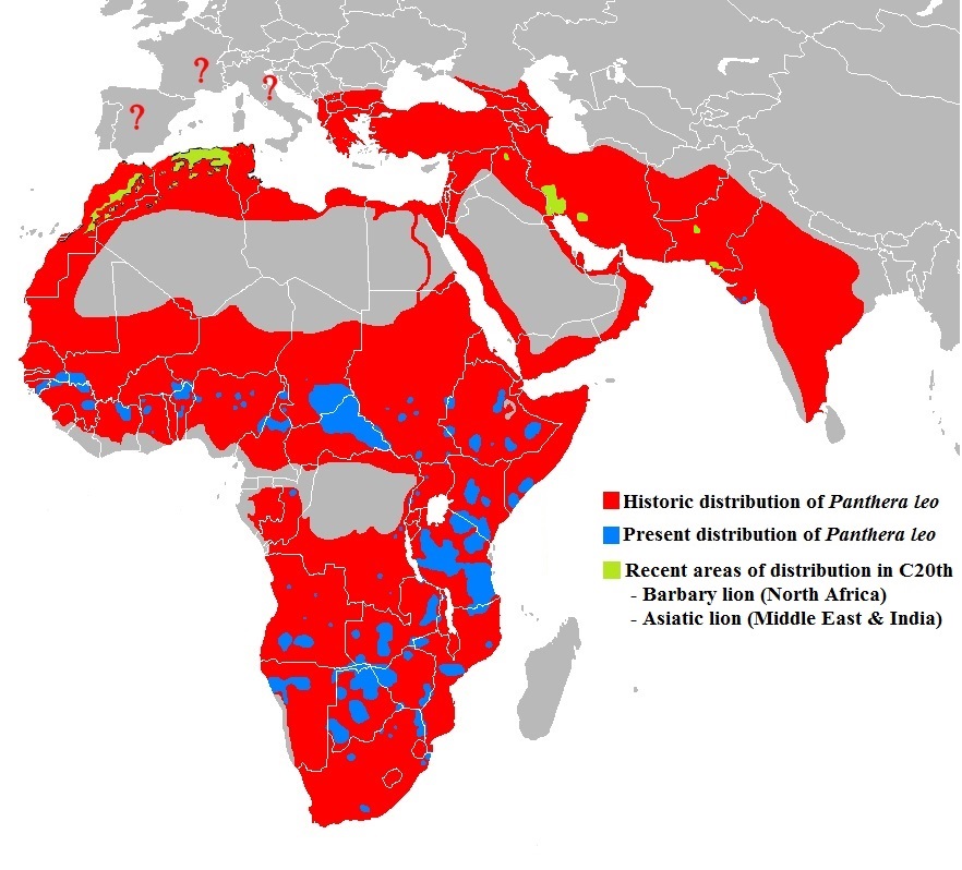 Lion-distribution-map-inc-20th-century-in-north.jpg