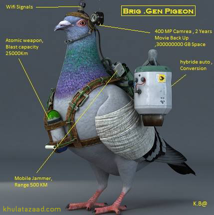 pakistan-spy-pigeon.jpg