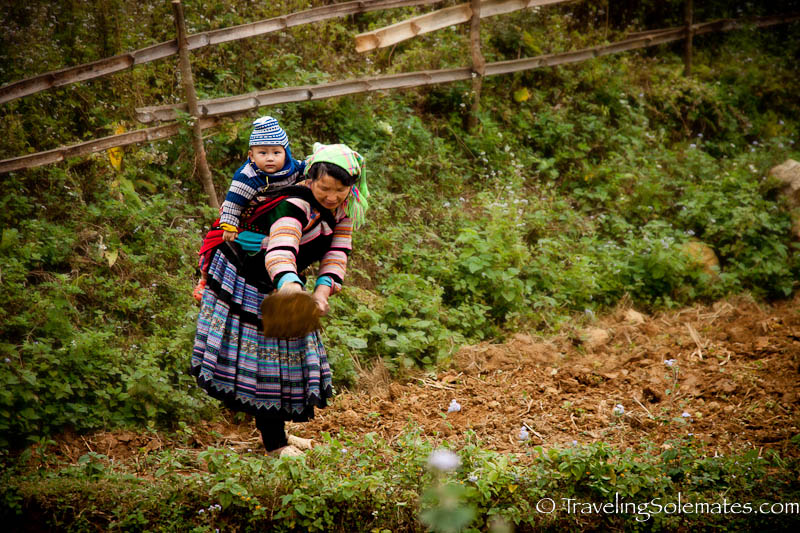 03-Flower-Hmong-Woman-and-Baby-wroking-in-the-field-Trekking-in-the-Hillribe-Villages-around-Bac-Ha-Vietnam.jpg