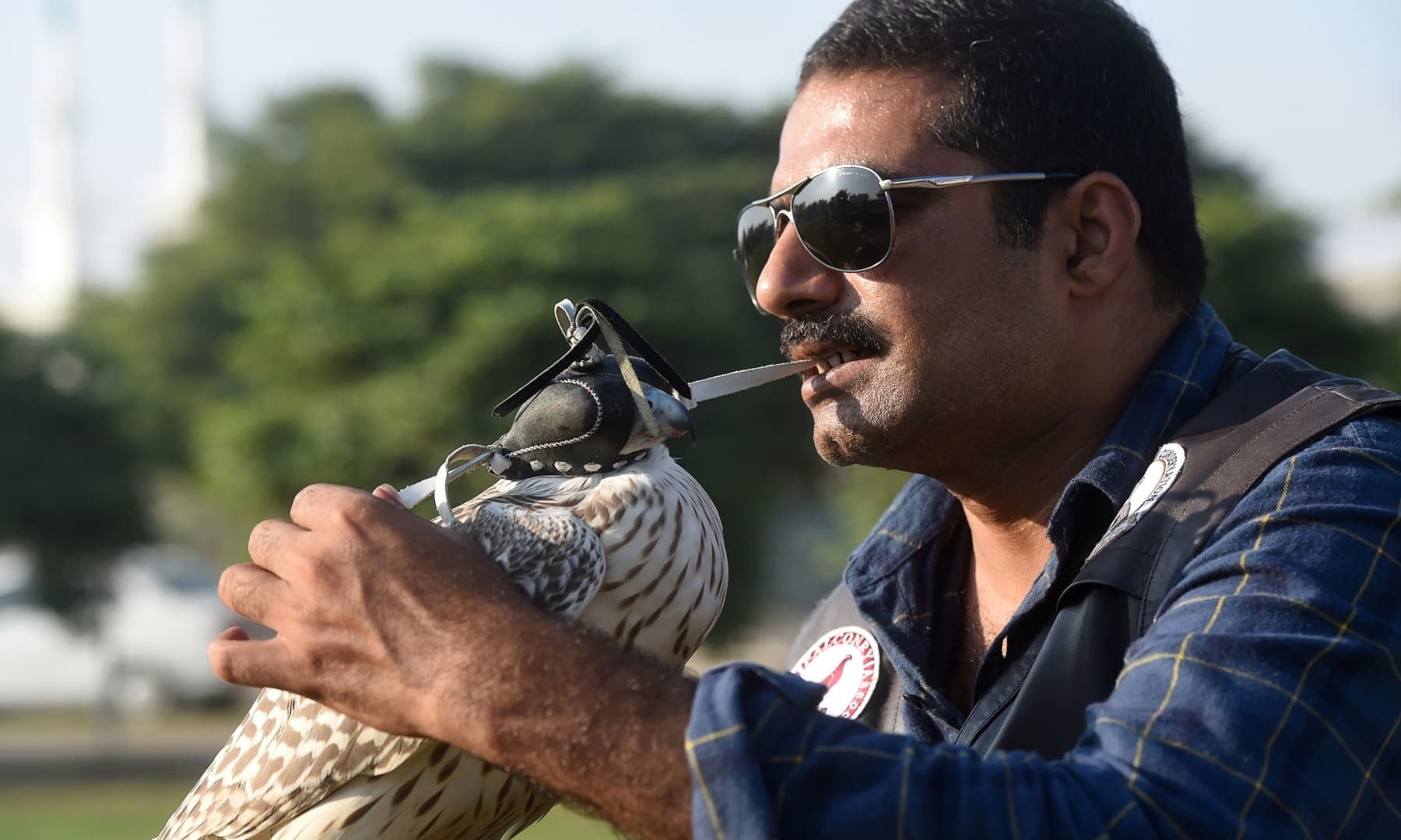 In this picture taken on November 23, 2020, Kamran Khan Yousafzai, a conservationist and president of the Pakistan Falconry Association, puts an eye mask on a falcon as he works on the rehabilitation of dozens of falcons seized by authorities from smugglers, in Karachi. — AFP