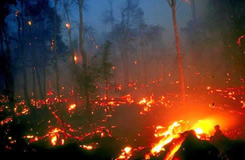 Indonesia-fire.jpg