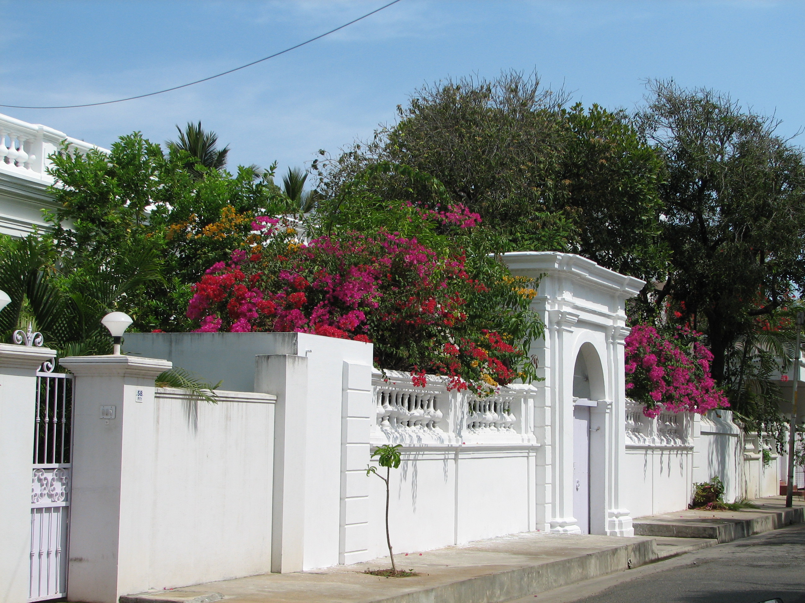 Vibrant_flowers_%26_French_architecture,_Pondicherry,_India.jpg