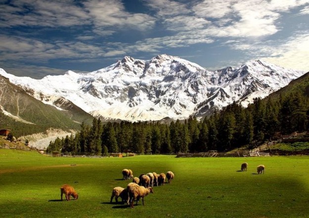 nanga-parbat2-e1425123341697.jpg