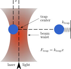 250px-Optical_trap_principle.svg.png