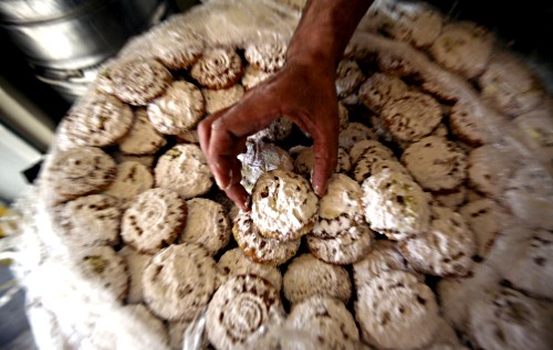 palestinian-cakes-jenin.jpg