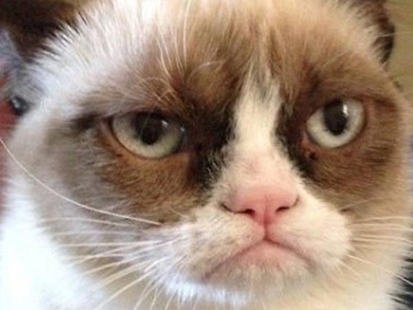 grumpycat.jpg