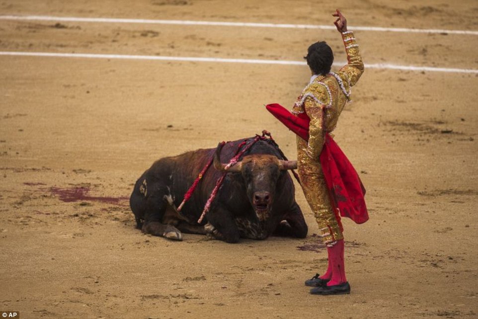 1400683592138_wps_Spanish_bullfighter_Jimen.jpg