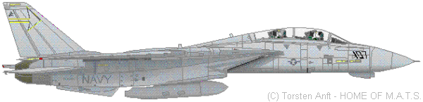 f14-squadron-vf301-01.gif