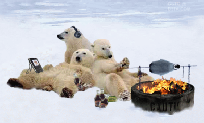 polar-bear-bbq.jpg