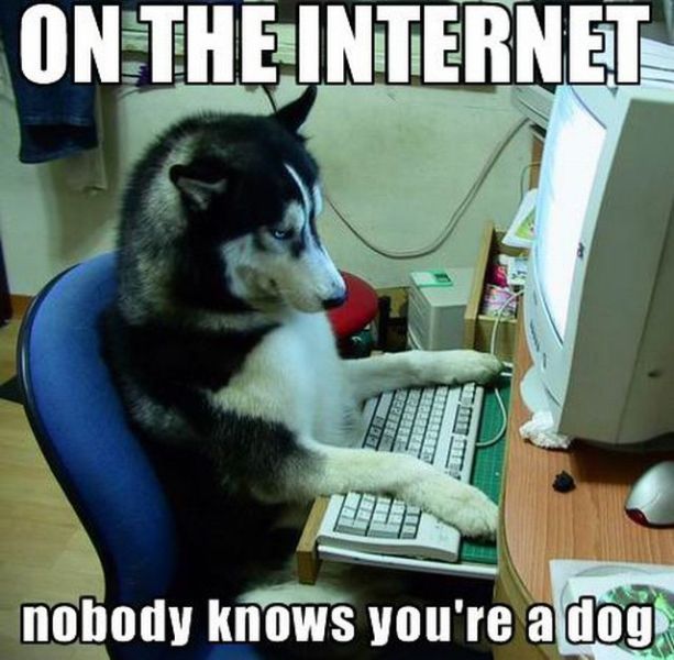 on_the_internet_nobody_knows_you_re_a_dog.jpg