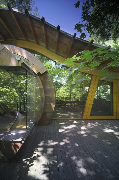 tree-house-deck-patio-design.jpg