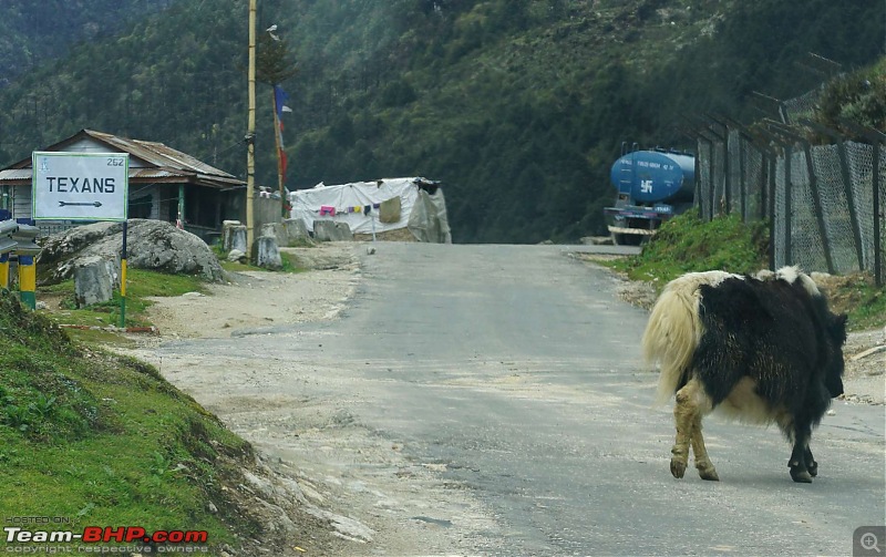 1095039d1370934247t-roadtrip-middle-nowhere-monyul-tawang-more-road-4.jpg