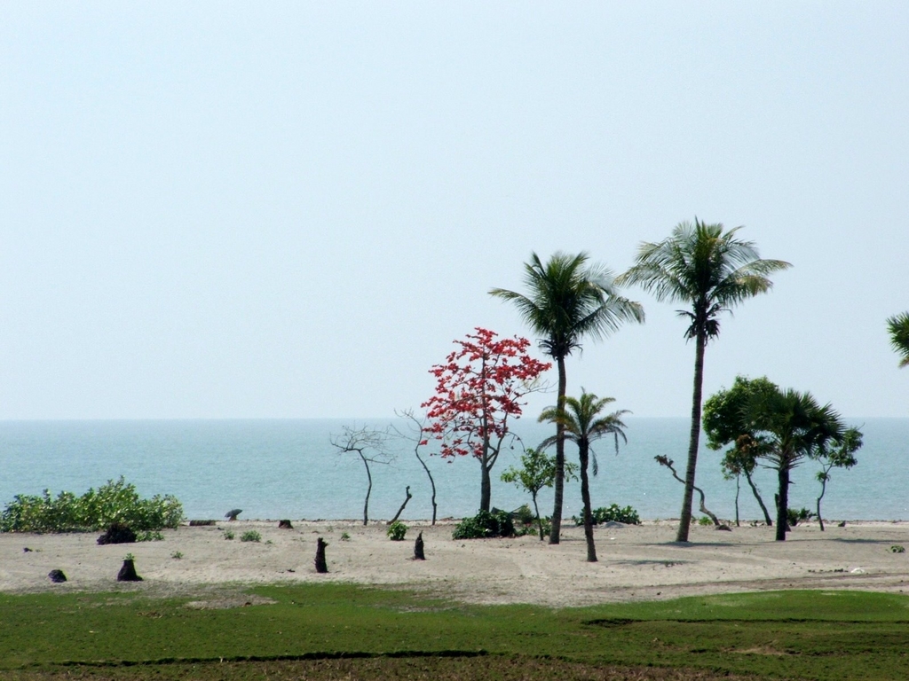 kuakatabeach10.jpg