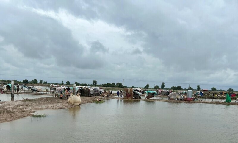 A view of Sanghar after rains and floods as affectees and makeshift shelters can be seen on Saturday. — Photo by Housh Mohammad Mangi