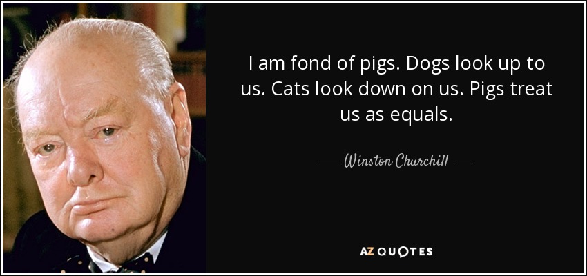 quote-i-am-fond-of-pigs-dogs-look-up-to-us-cats-look-down-on-us-pigs-treat-us-as-equals-winston-churchill-5-63-10.jpg