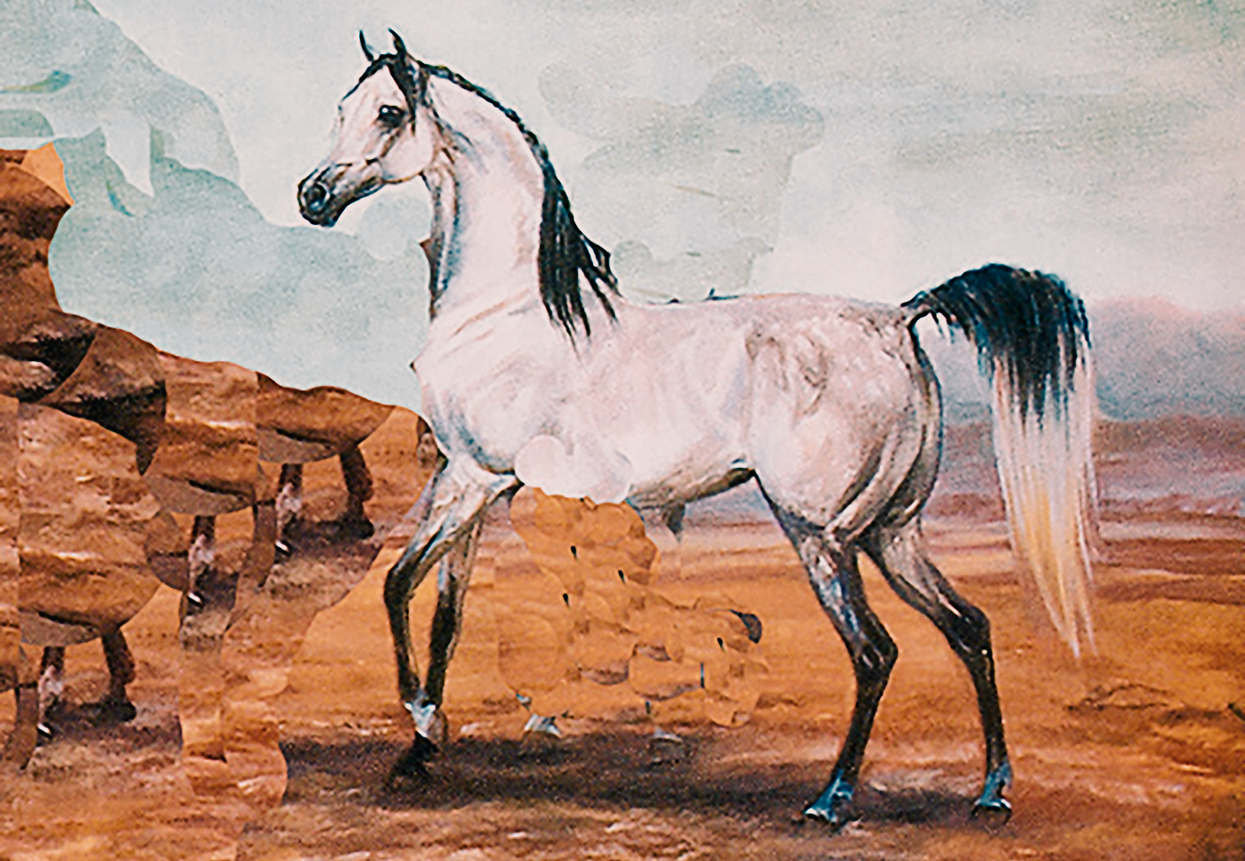 arabian_horse.jpg