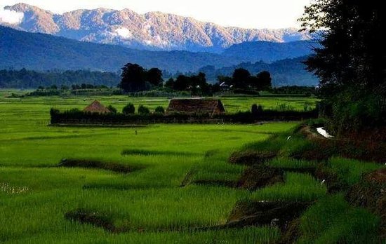 landscape-of-the-ziro.jpg