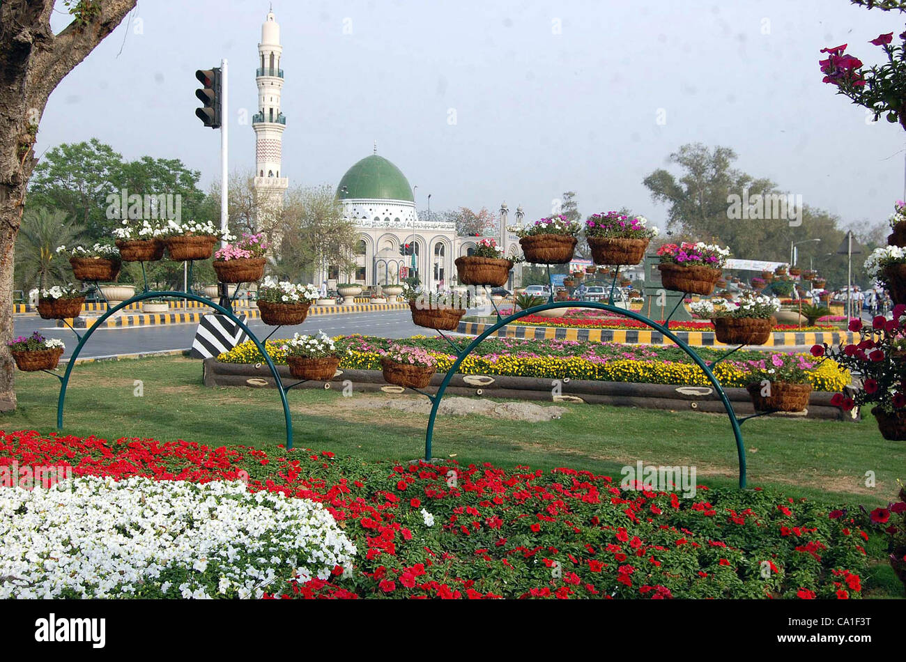 a-beautiful-view-of-spring-flowers-at-mall-road-in-lahore-on-monday-CA1F3T.jpg