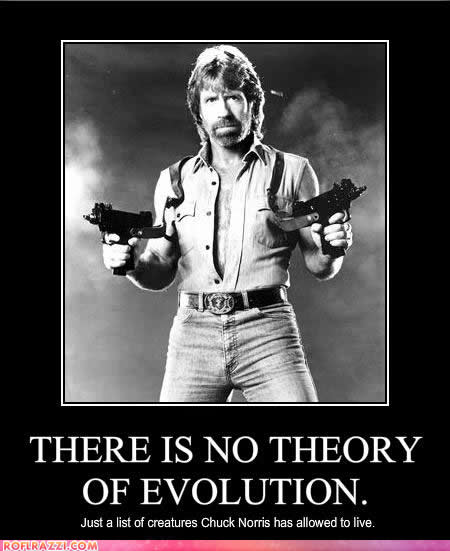 chuck-norris.jpg