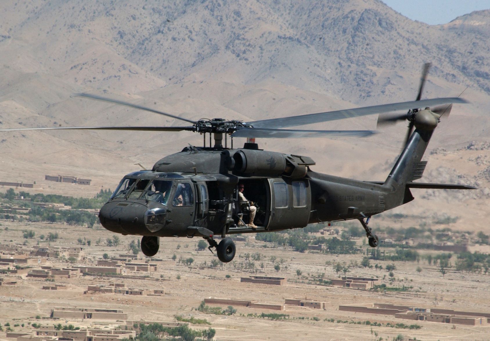 Black_hawk.jpg