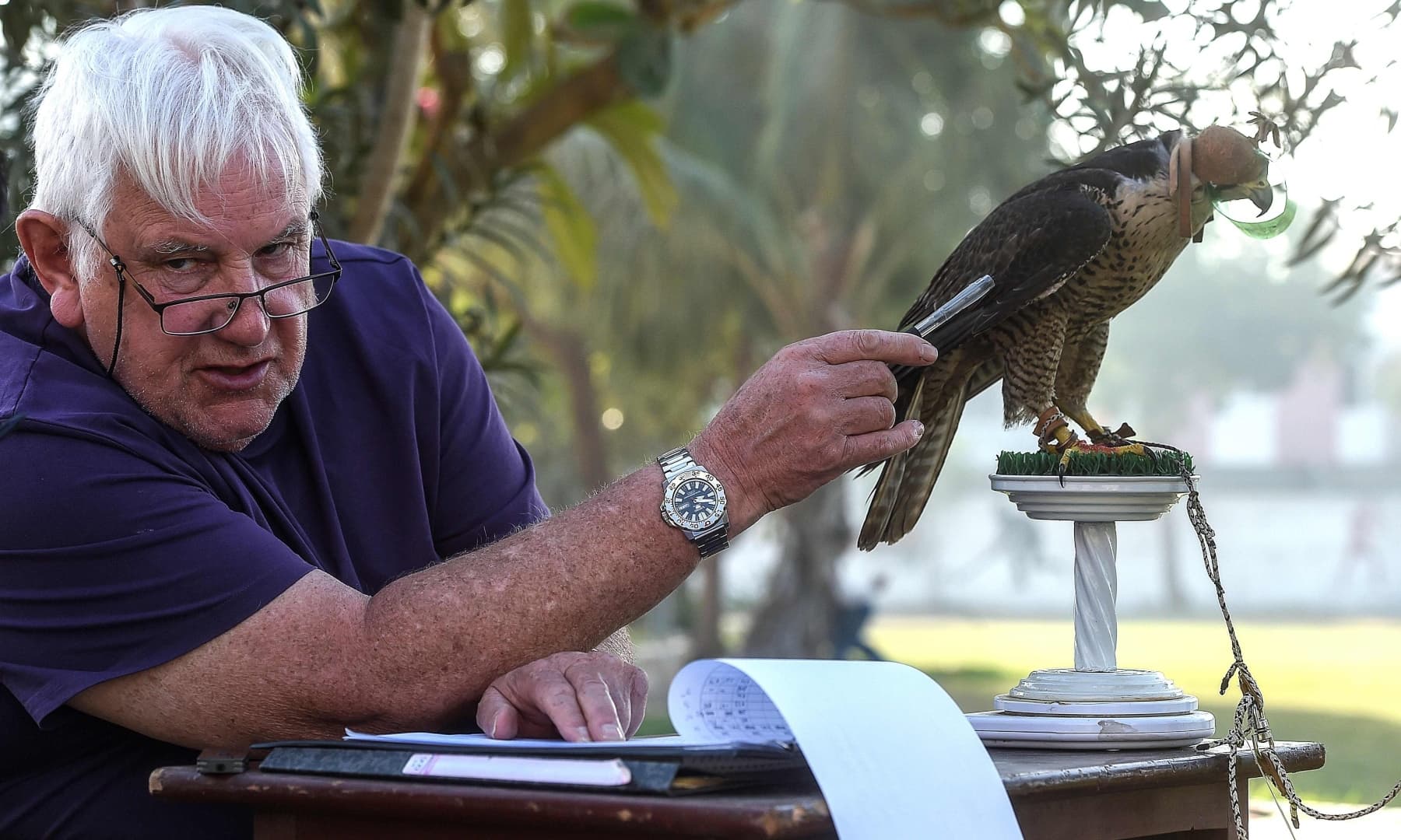 Bob Dalton, a veteran falcon conservationist and project co-ordinator for Project Lugger, weighs a falcon as he works on the rehabilitation of falcons seized by authorities from smugglers, in Karachi in this Nov 23, 2020, photo. — AFP