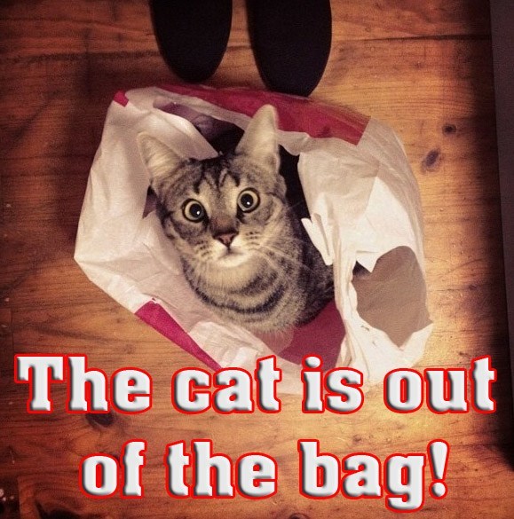 cats-out-of-the-bag-copy.jpg