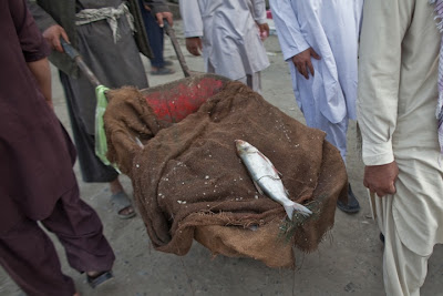 everyday_life_in_afghanistan_10.jpg
