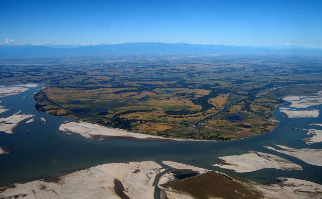 top-view-majuli.jpg