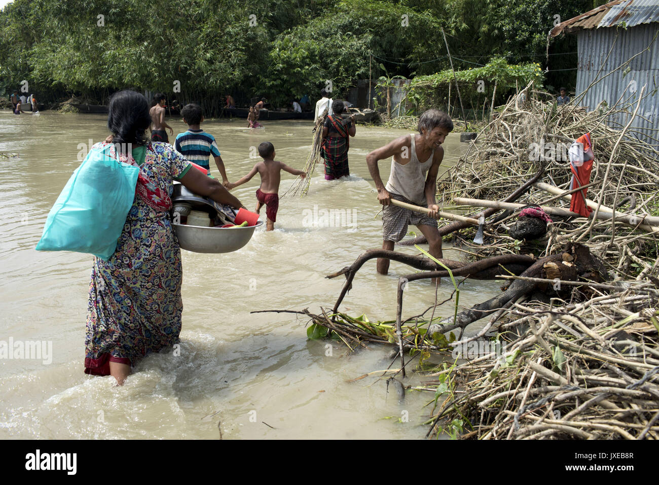 www.alamy.com