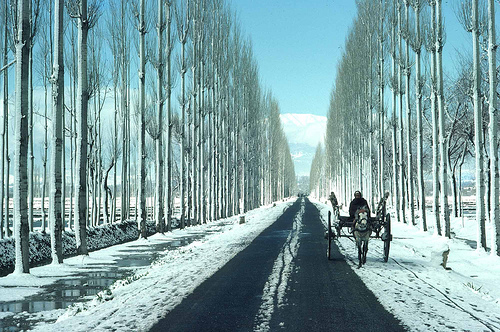 on-way-to-gulmarg.jpg