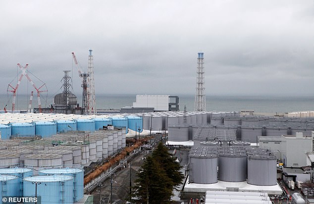 Storage: Tanks full of radioactive water are seen at the crippled Fukushima plant in January this year, with space rapidly filling up