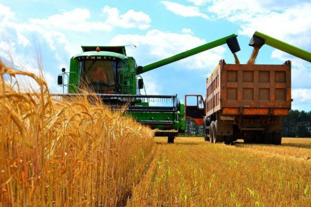 Growing grains: Kazakhstan's farmers feel sorely exposed to Russian imports. (Photo: Kazakhstan government website)