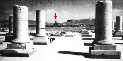 95949_949.jpg
