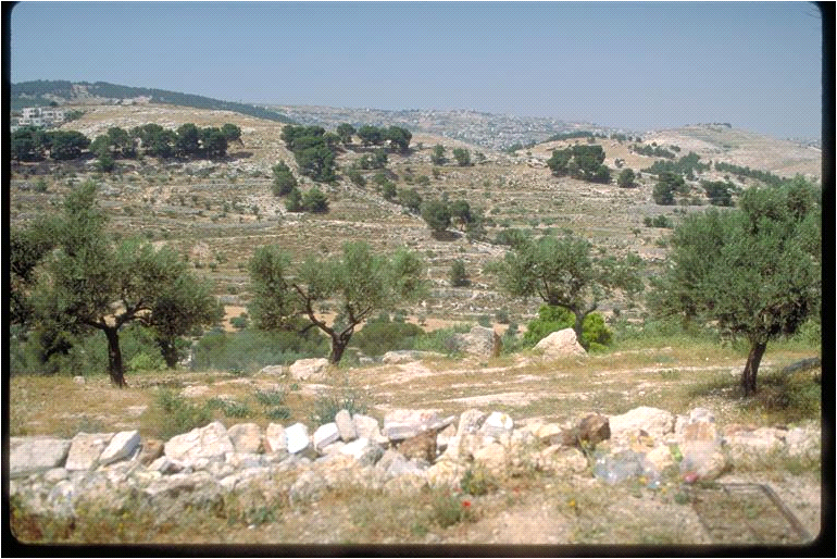 Israel.png