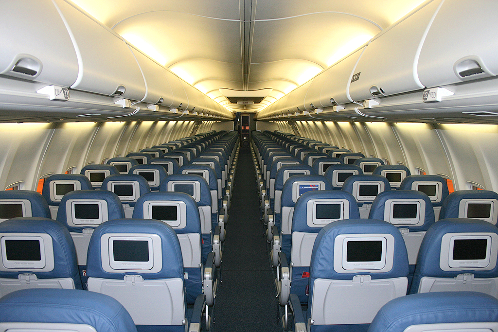 Delta_Air_Lines_Boeing_737-800_cabin.jpg