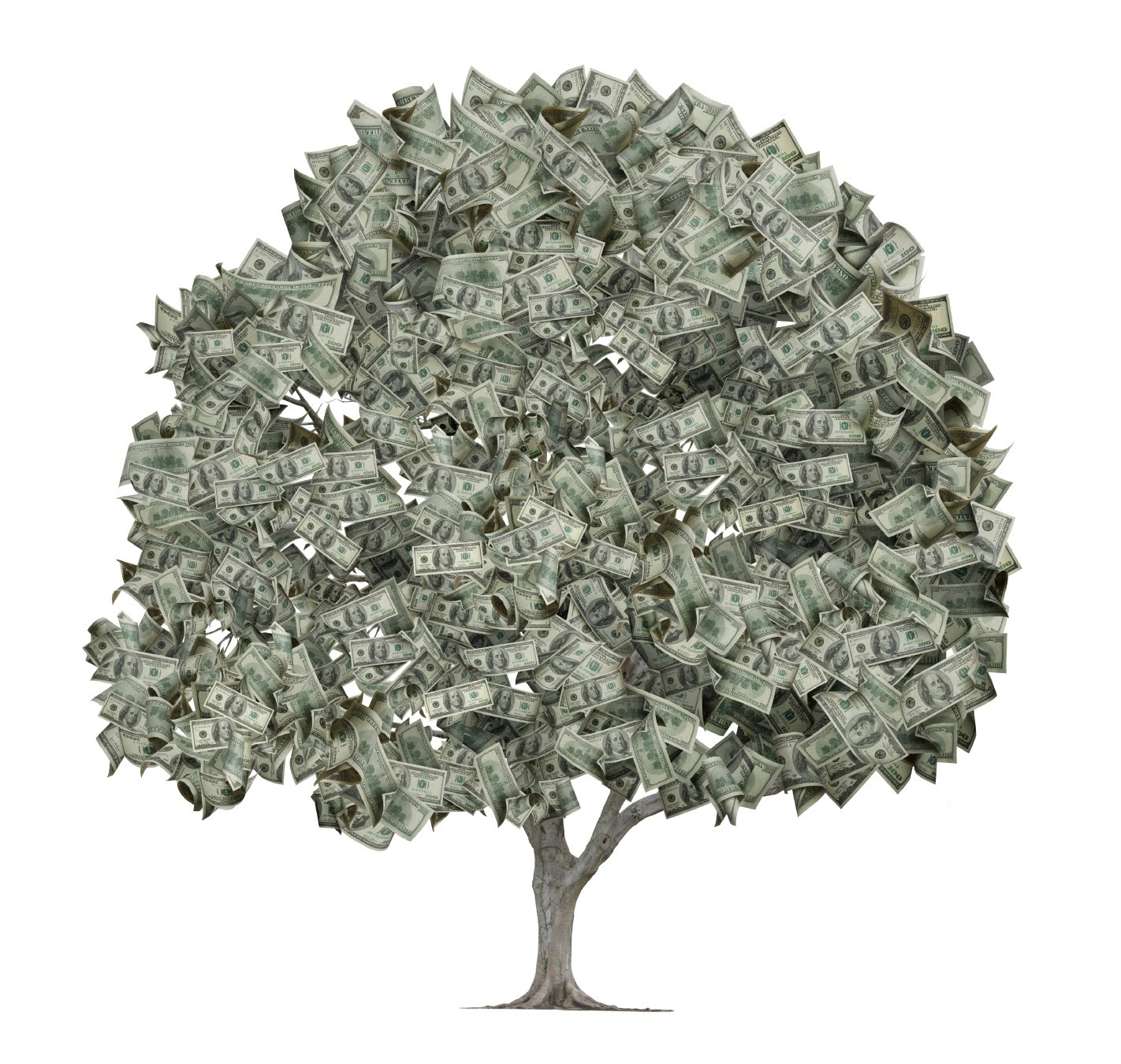 iStock_money-tree.jpg