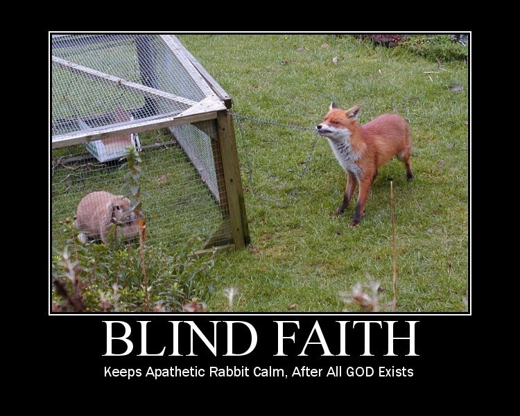 Blind-Faith-fox-1426397-750-600.jpg
