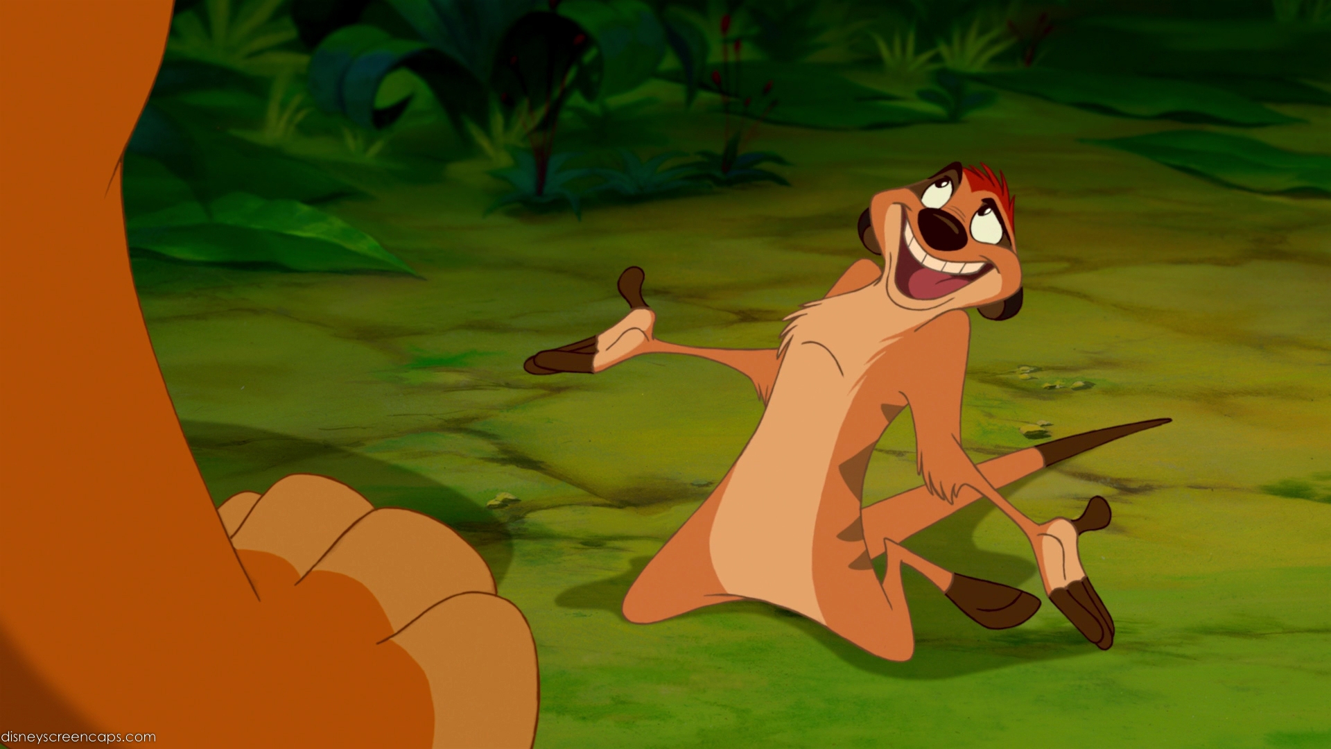 Timon-2-(The_Lion_King).jpg